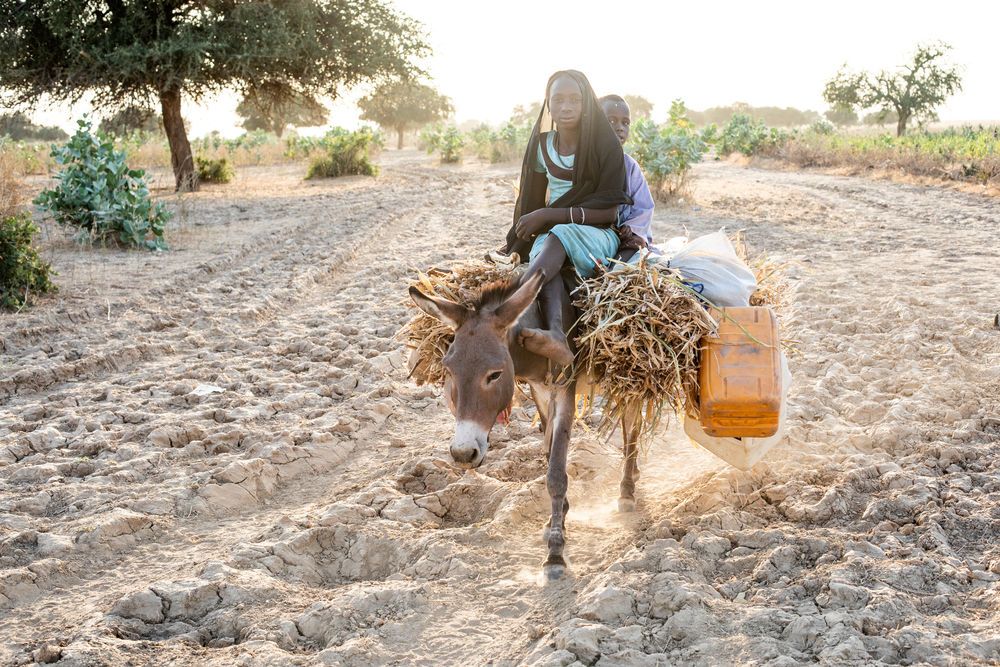 Girl on donkey