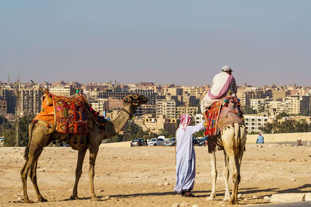 men with camels