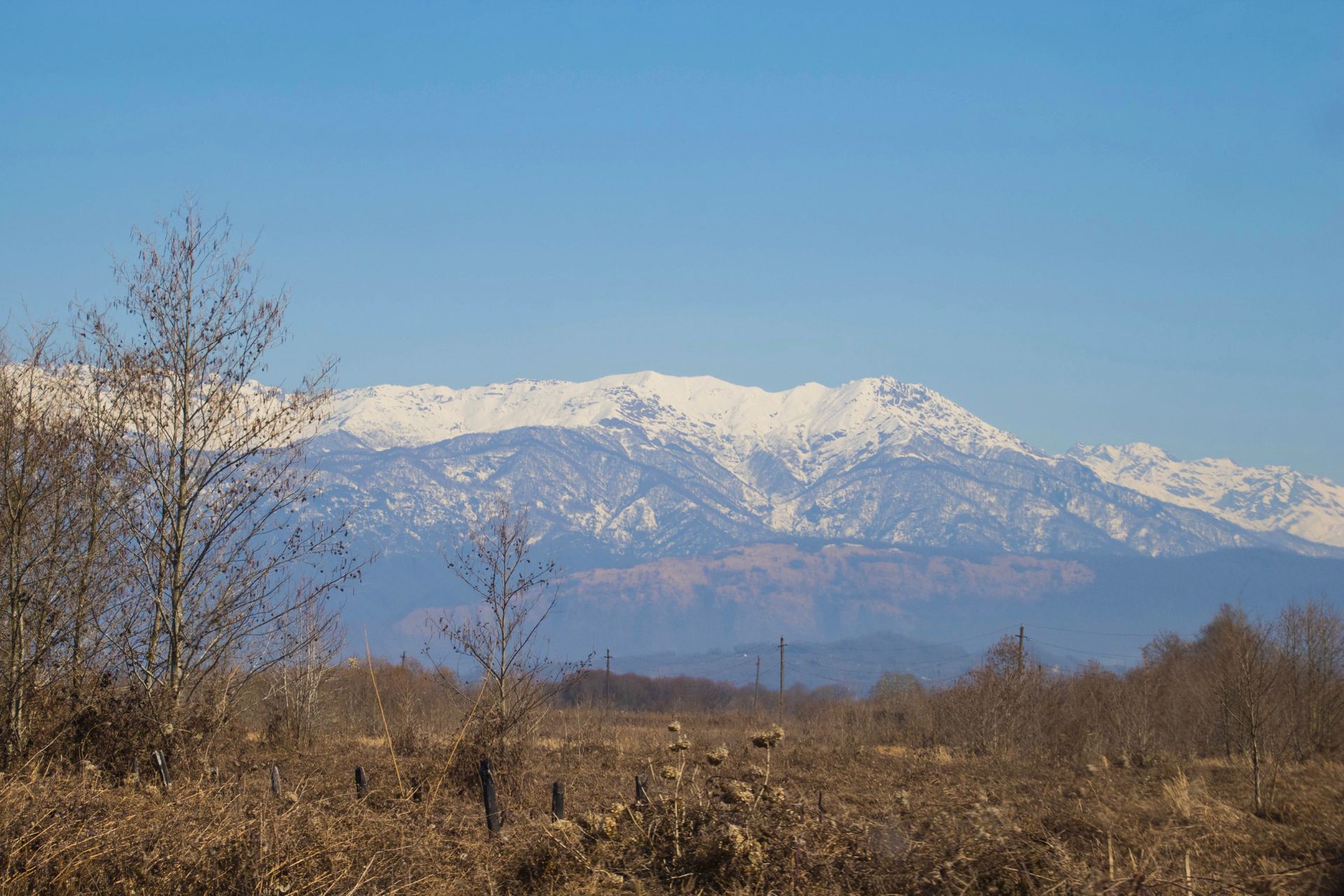 The Caucasus